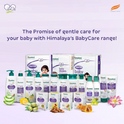 Himalaya Baby Cream