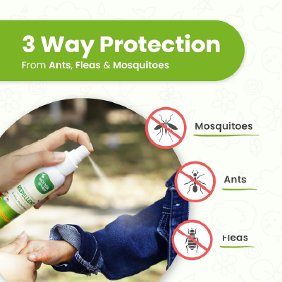 Mother Sparsh Natural Insect Repellent Spray For Babies