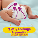 Pampers Active Baby Diapers