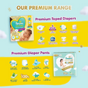 Pampers Active Baby Diapers