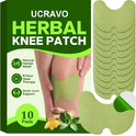 Wellness Patches for Knee Herbal Moth