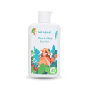 Aloe & Mint Body Wash